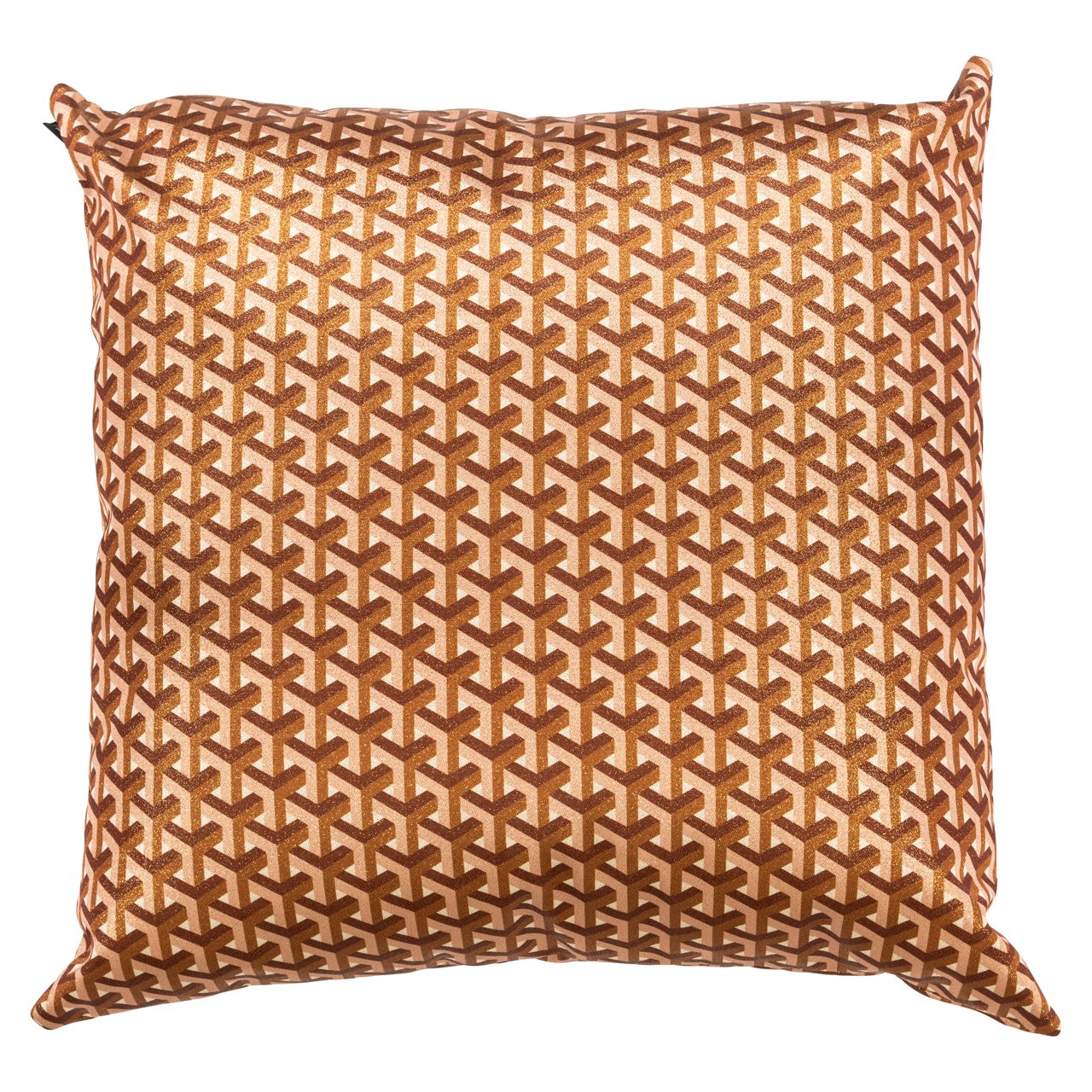 Cushion Phyllisia 50x50